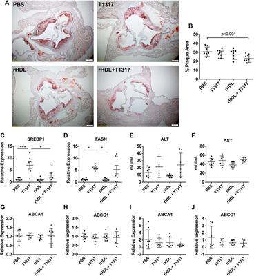 Synergetic Effect of rHDL and LXR Agonist on Reduction of Atherosclerosis in Mice